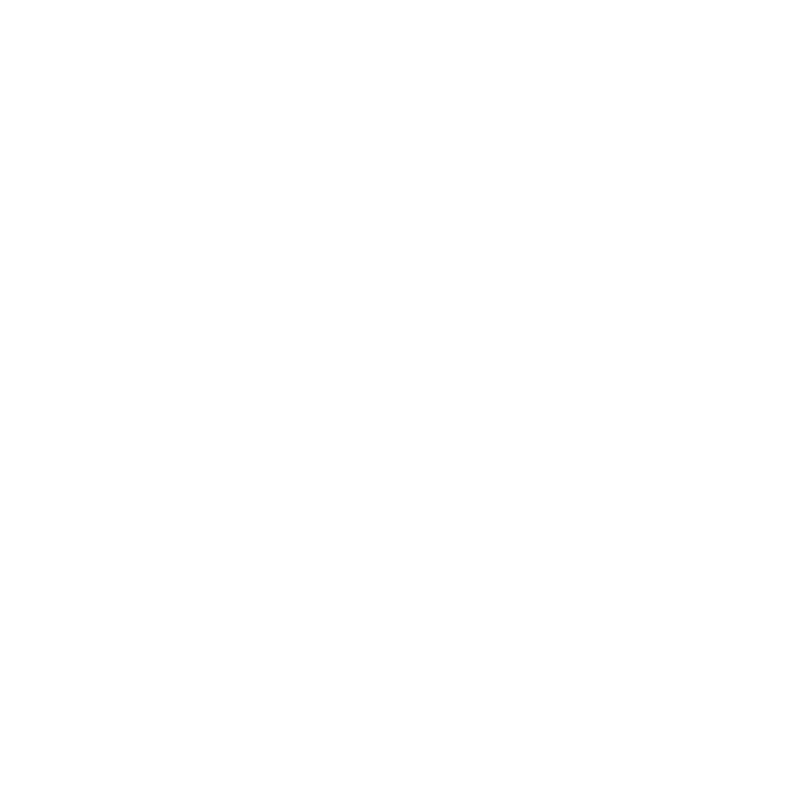 nightfallworldwide Logo